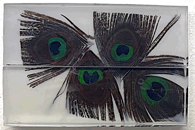 Clear Acrylic with Peacock Feathers - ENk-Fr-BX1