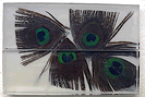 Clear Acrylic with Peacock Feathers - ENk-Fr-BX1