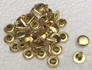 Rapid Rivets Medium Brass Plated  ID1273-21 BSF-1