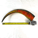 Water Buffalo Horn MediumEHK261125-1