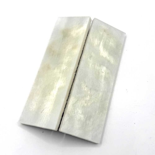 Oyster Scales