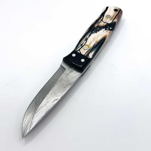 The Sedgwick Hunter