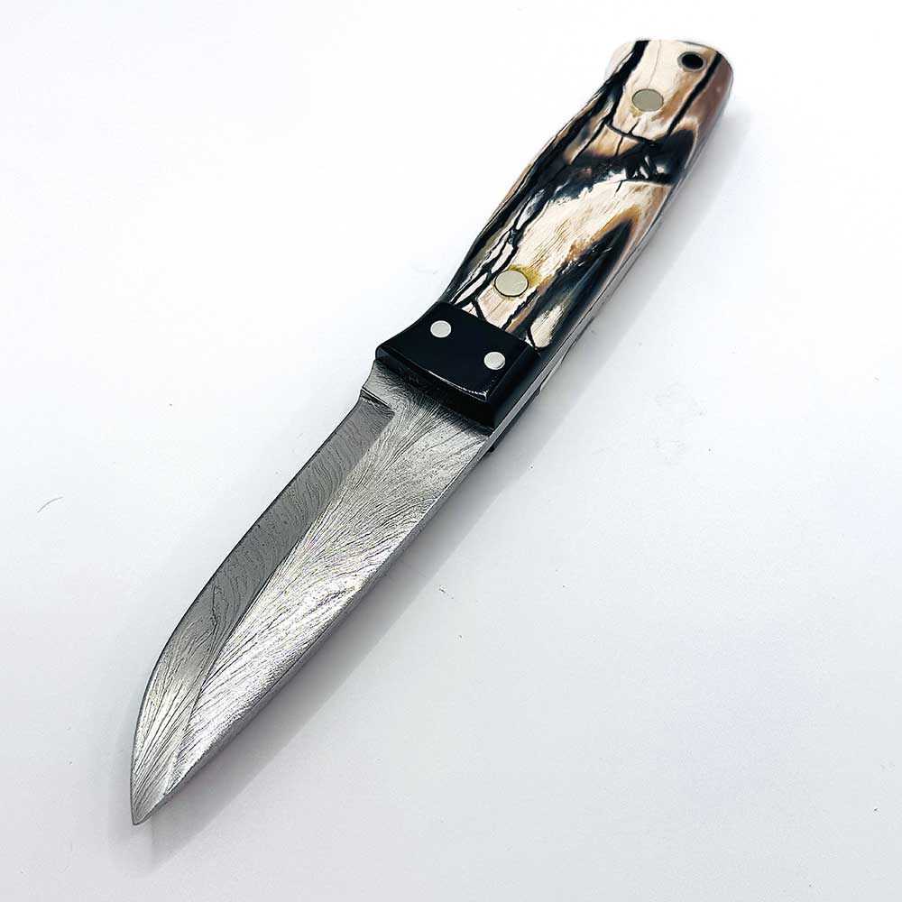 The Sedgwick Hunter