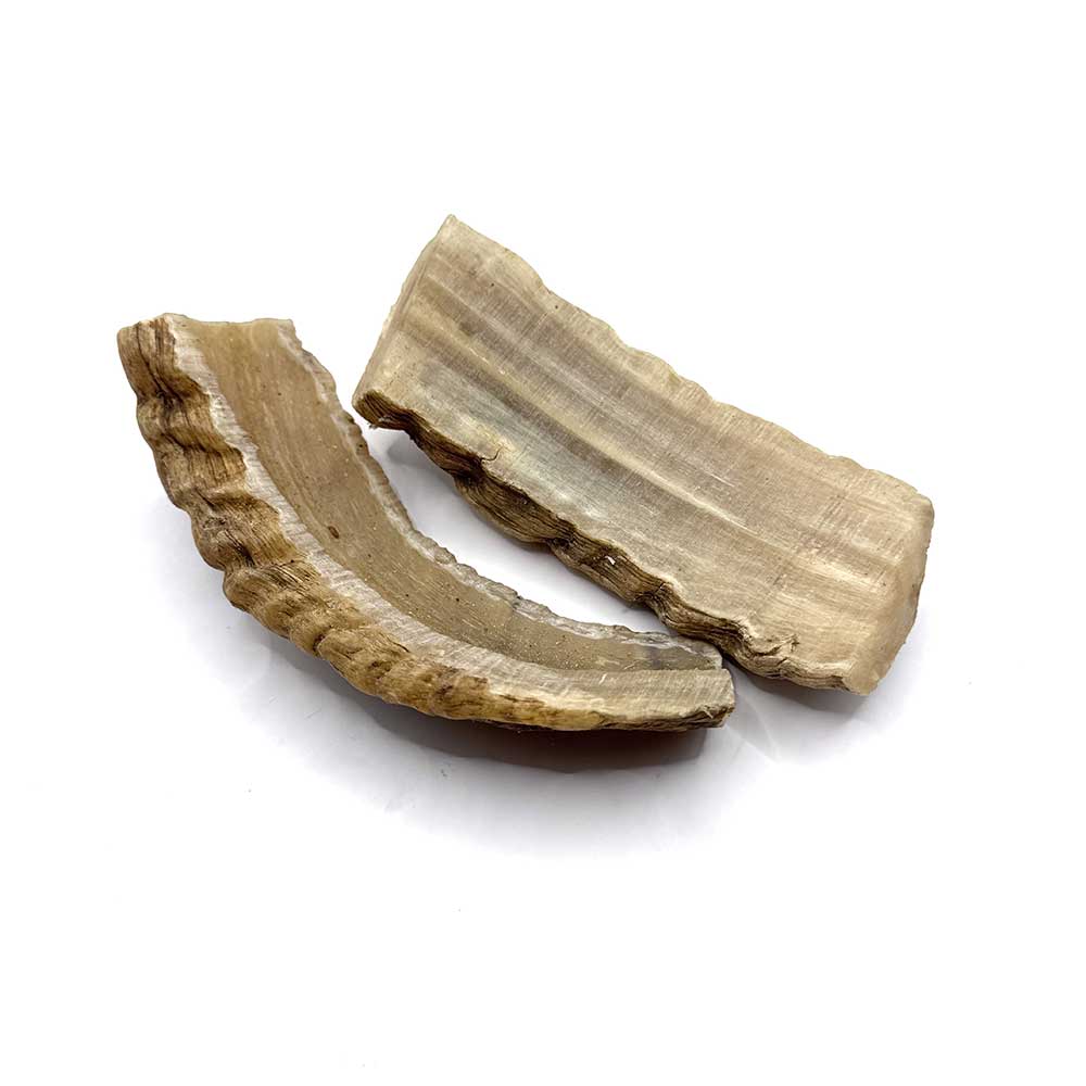 Unpressed Rams Horn