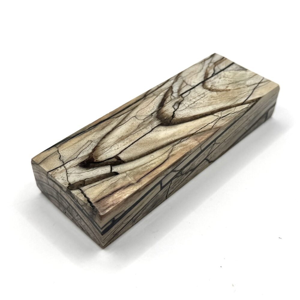 Stabilised Woolly Mammoth Tusk Block