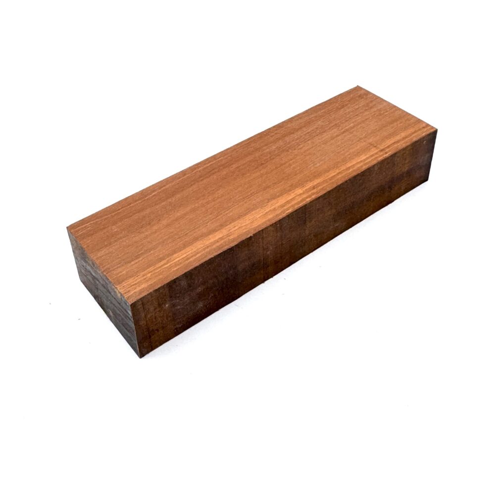 Newtonia